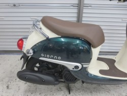 �z���_�W�����m�i���Q���ɗ\�S�u�����j�摜13