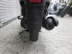 �z���_�W�����m�i���Q���ɗ\�S�u�����j�摜22