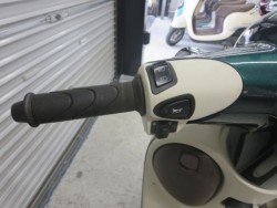 �z���_�W�����m�i���Q���ɗ\�S�u�����j�摜25