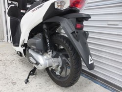 �z���_�f�B�I110�i���Q���ɗ\�S�u�����j�摜15