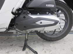 �z���_�f�B�I110�i���Q���ɗ\�S�u�����j�摜16