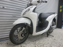 �z���_�f�B�I110�i���Q���ɗ\�S�u�����j�摜17