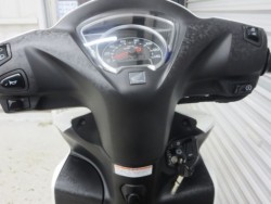 �z���_�f�B�I110�i���Q���ɗ\�S�u�����j�摜25
