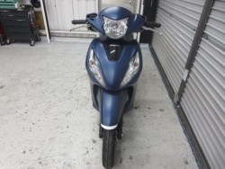 �z���_�f�B�I110�i���Q���ɗ\�S�u�����j�摜2