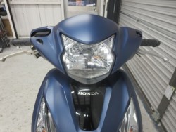 �z���_�f�B�I110�i���Q���ɗ\�S�u�����j�摜3