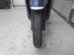 �z���_�f�B�I110�i���Q���ɗ\�S�u�����j�摜5