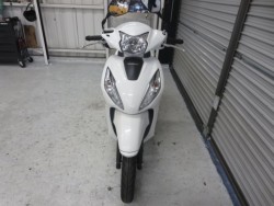 �z���_�f�B�I110�i���Q���ɗ\�S�u�����j�摜2
