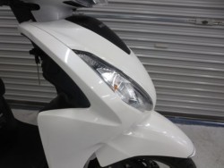 �z���_�f�B�I110�i���Q���ɗ\�S�u�����j�摜8