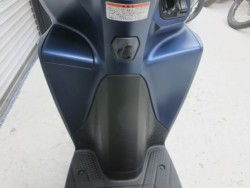 �z���_�f�B�I110�i���Q���ɗ\�S�u�����j�摜26