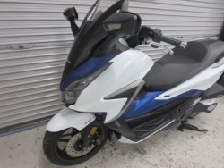 �z���_�t�H���c�@�i���Q���ɗ\�S�u�����j�摜27