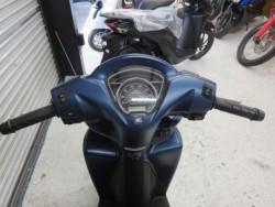 �z���_�f�B�I110�i���Q���ɗ\�S�u�����j�摜27