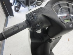 �z���_�f�B�I110�i���Q���ɗ\�S�u�����j�摜23