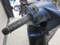 �z���_�f�B�I110�i���Q���ɗ\�S�u�����j�摜30