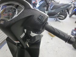 �z���_�f�B�I110�i���Q���ɗ\�S�u�����j�摜24
