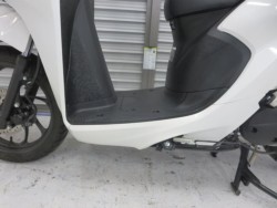 �z���_�f�B�I110�i���Q���ɗ\�S�u�����j�摜30