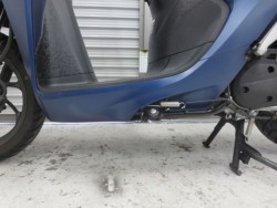 �z���_�f�B�I110�i���Q���ɗ\�S�u�����j�摜40