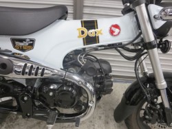 �z���_�_�b�N�X125�i���Q���ɗ\�S�u�����j�摜11