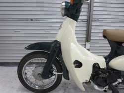 �z���_���g���J�u�i���Q���ɗ\�S�u�����j�摜26