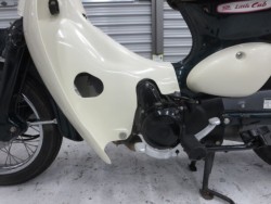 �z���_���g���J�u�i���Q���ɗ\�S�u�����j�摜28