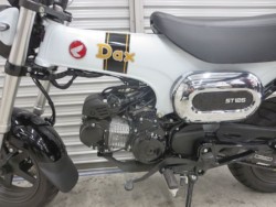 �z���_�_�b�N�X125�i���Q���ɗ\�S�u�����j�摜39