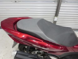 �z���_PCX�i���Q���ɗ\�S�u�����j�摜15