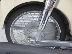 �z���_�X�[�p�[�J�u50�i���Q���ɗ\�S�u�����j�摜23