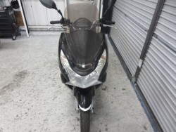 �z���_PCX�i���Q���ɗ\�S�u�����j�摜2