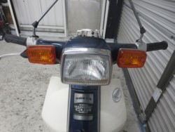 �z���_�X�[�p�[�J�u70�i���Q���ɗ\�S�u�����j�摜3