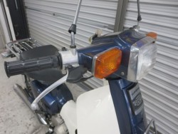�z���_�X�[�p�[�J�u70�i���Q���ɗ\�S�u�����j�摜8