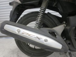 �z���_PCX�i���Q���ɗ\�S�u�����j�摜19