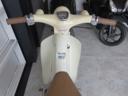 �z���_���g���J�u�i���Q���ɗ\�S�u�����j�摜20