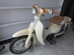 �z���_���g���J�u�i���Q���ɗ\�S�u�����j�摜24