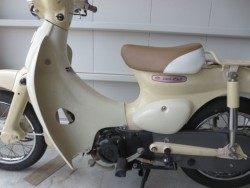 �z���_���g���J�u�i���Q���ɗ\�S�u�����j�摜28