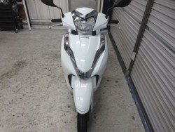 �z���_���[�h125�i���Q���ɗ\�S�u�����j�摜2