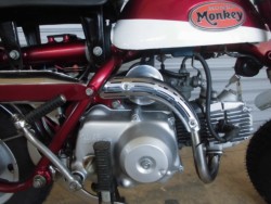 �z���_�����L�[�i���m�������S�l���\���j�摜4