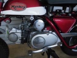 �z���_�����L�[�i���m�������S�l���\���j�摜8