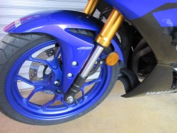 ���}�nYZF-R25�i���m�������S�l���\���j�摜8