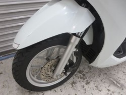 �z���_���[�h125�i���Q���ɗ\�S�u�����j�摜38