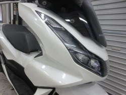 �z���_PCX�i���Q���ɗ\�S�u�����j�摜8