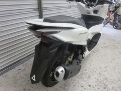 �z���_PCX�i���Q���ɗ\�S�u�����j�摜19