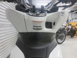 �z���_PCX�i���Q���ɗ\�S�u�����j�摜25