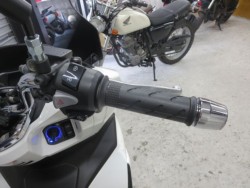 �z���_PCX�i���Q���ɗ\�S�u�����j�摜28