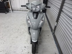 �z���_�f�B�I110�i���Q���ɗ\�S�u�����j�摜2