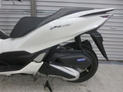 �z���_PCX�i���Q���ɗ\�S�u�����j�摜39
