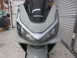 �z���_PCX�i���Q���ɗ\�S�u�����j�摜4