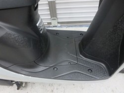 �z���_�f�B�I110�i���Q���ɗ\�S�u�����j�摜14