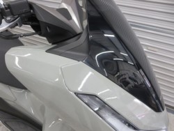 �z���_PCX�i���Q���ɗ\�S�u�����j�摜9