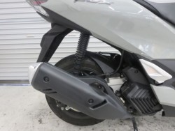 �z���_PCX�i���Q���ɗ\�S�u�����j�摜17