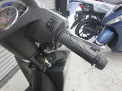 �z���_�f�B�I110�i���Q���ɗ\�S�u�����j�摜32