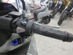 �z���_PCX�i���Q���ɗ\�S�u�����j�摜28